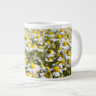 Grande Tasse Champ de camomille, Hongrie