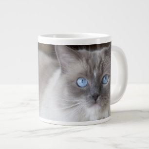 Grande Tasse Chat à poupée femelle