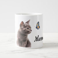 Chat Grey Meow