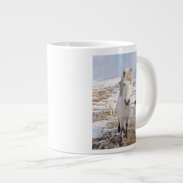 Grande Tasse Cheval Blanc Islandais, Islande (Devant droit)