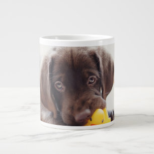 Grande Tasse Chocolat Labrador Puppy With Toy Duck