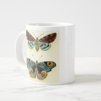 Collection Papillons par Chariklia Zarris
