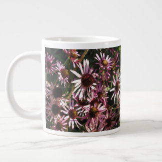 Grande Tasse Coneflowers