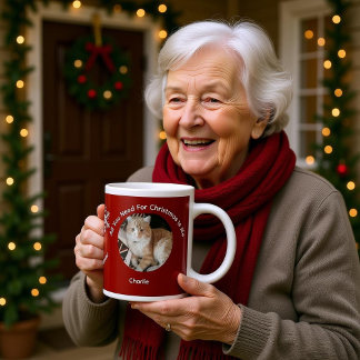 Grande Tasse Custom All You Need Cat Photo Specialty Mug