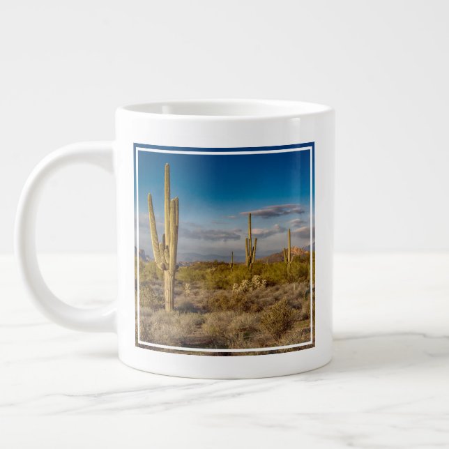 Grande Tasse Deserts | Superstition Mountains, Arizona (Gauche)