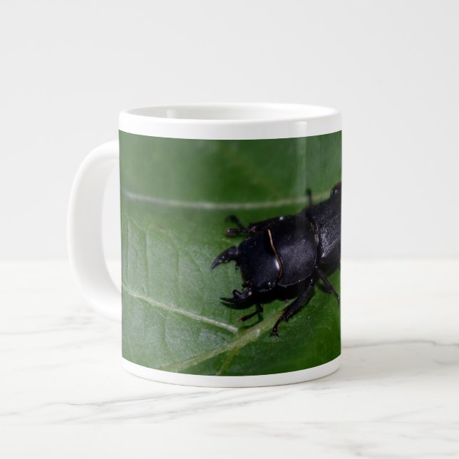 Grande Tasse Dorcus parallelipipedus, le moindre dendroctone du (Devant gauche)