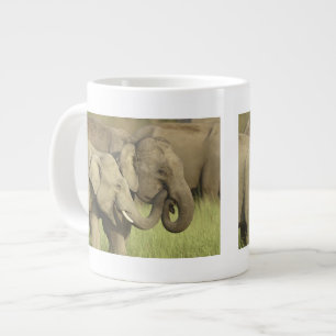 Grande Tasse Éléphants asiatiques indiens