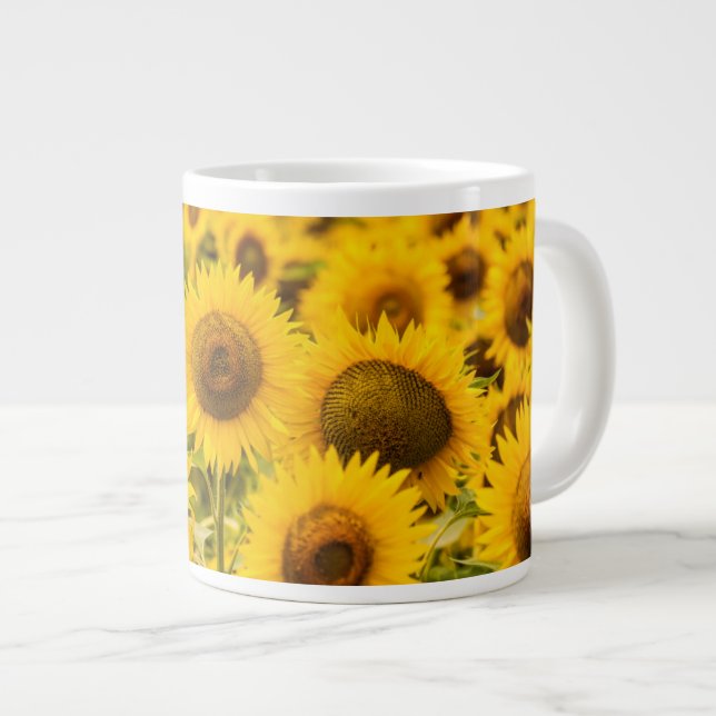Grande Tasse Farms | A Sunflower (Devant droit)