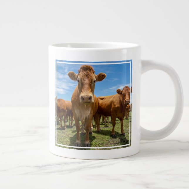 Grande Tasse Farms | Brown cow (Droite)