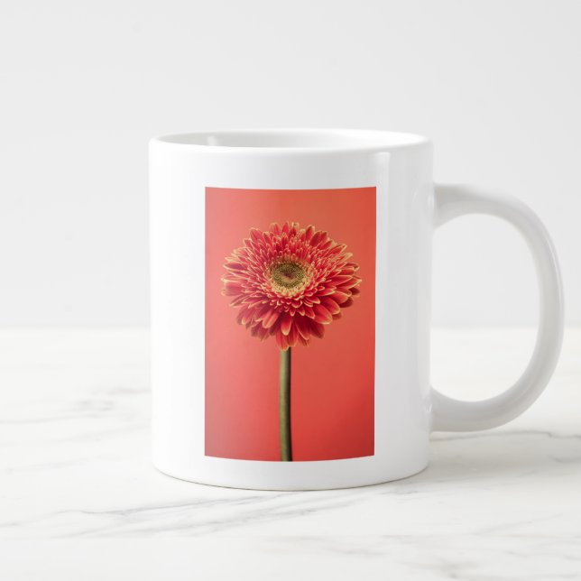 Grande Tasse Fleur rouge Barberton Gerbera Daisa (Droite)