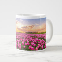 Fleurs | Tulips Holland Sud, Pays-Bas