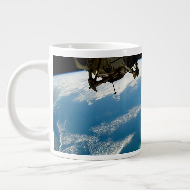 Grande Tasse Floride Oblique, Sur La Côte Sud-Est (Gauche)