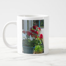 Flower Box Geraniums - Martha's Vineyard