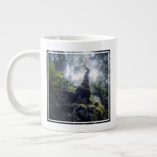 Grande Tasse Forêt   Anaga Parc rural Îles Canaries