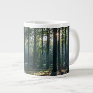 Grande Tasse Forêt   Forêt Noire Allemagne