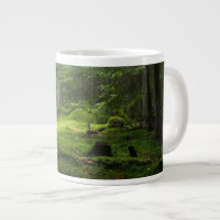 Forêt stérile