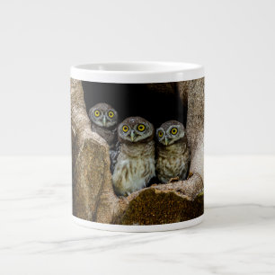 Grande Tasse Forêt Trois Chouettes