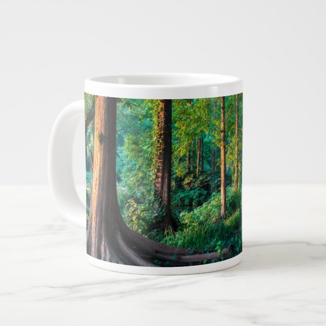 Grande Tasse Forêt | Végétation et forêt (Devant gauche)