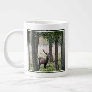 Grande Tasse Forêt   Woodlands & Red Deer