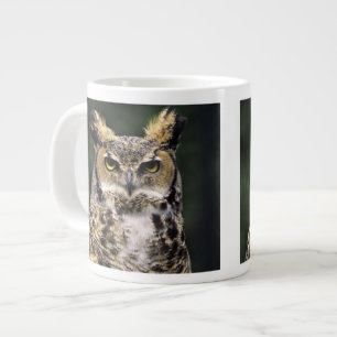 Grande Tasse Grand-duc d'Amérique (Bubo virginianus), corps ent