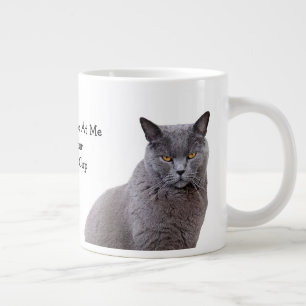 Grande Tasse Gray Cat Grouchy Coffee Mug