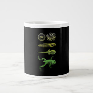 Grande Tasse Grenouille Tadpole Métamorphose Cycle de vie Biol