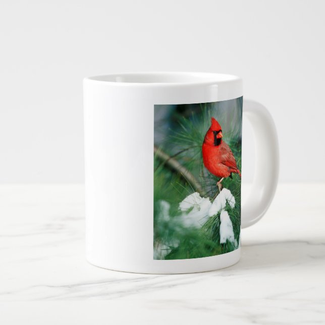 Grande Tasse Homme du Cardinal du Nord sur l'arbre, IL (Devant droit)