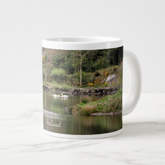 Grande Tasse Irlande, Comté Cork, Lac, Cygnes, Photographie