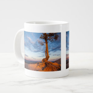 Grande Tasse L'arbre s'accroche au rebord, parc national de