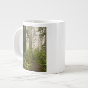 Grande Tasse Le Rhododendron fleuri parmi les séquoias de la c