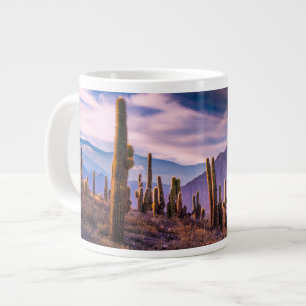 Grande Tasse Les déserts Cactus Paysage Argentine