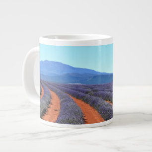 Grande Tasse Lignes de Plantes de lavande en Fleur, Tasmanie Mu
