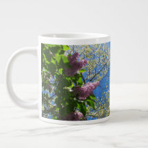 Lilacs et fleurs de cerisiers - Martha's Vineyard