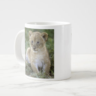 Grande Tasse lion d'Afrique, Panthera leo), Tanzanie,
