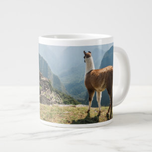 Grande Tasse Llama surplombant les ruines Machu Picchu, Pérou