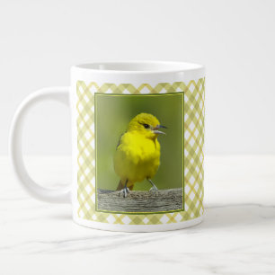 Grande Tasse Loriole de verger - Photographie originale