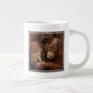 Grande Tasse Mère orang-outan et bébé au zoo