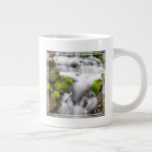 Grande Tasse Mousse autour de la source de fougère