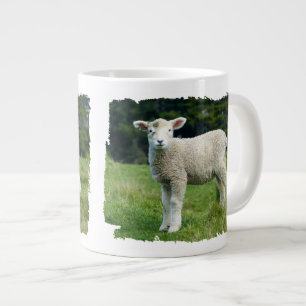 Grande Tasse Mouton bébé mignon visage boueux dans la prairie