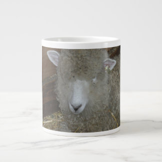 Grande Tasse Moutons à la foire du comté