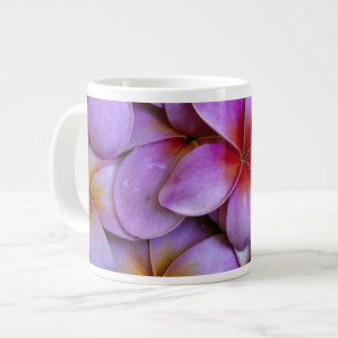 Grande Tasse N.A., États-Unis, Maui, Hawaï. Fleurs de frangipan