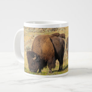Grande Tasse Parc national de Lamar Valley Bison Yellowstone