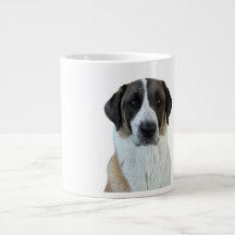 Pasteur anatolien Chien Spécialité Mug