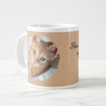 Photo de chat, Texte, Remplaçable, Drôle, Amateurs