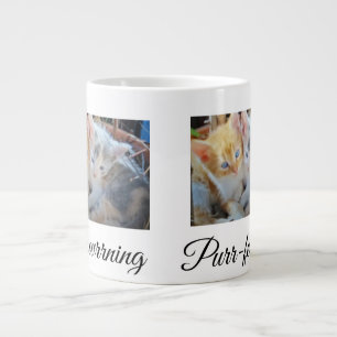 Grande Tasse Photo de deux chatons recto, verso cœur patte,