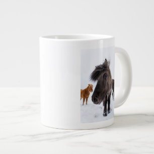 Grande Tasse portrait de cheval islandais, Islande