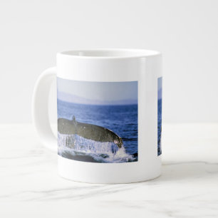 Grande Tasse Queue de baleine à bosse.
