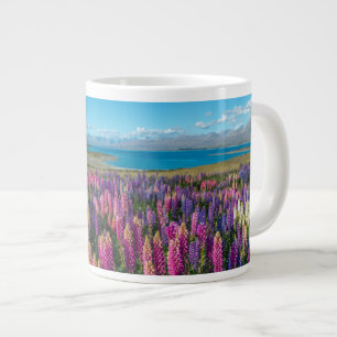 Grande Tasse Russle Lupines au lac Tekapo  Nouvelle-Zélande