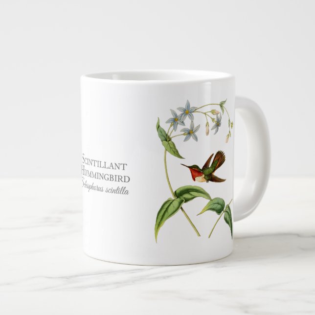 Grande Tasse Scintillant Colibri Jumbo Mug (Devant droit)