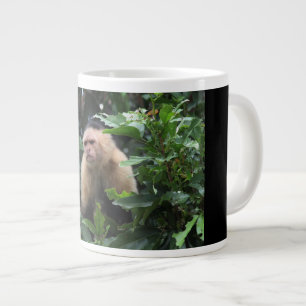 Grande Tasse Singe capucin, Panama, Jungle, Photographie